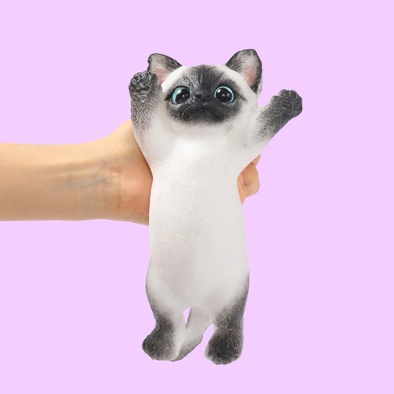 Maine Cheer Kitty Taba Squishy - Image 3