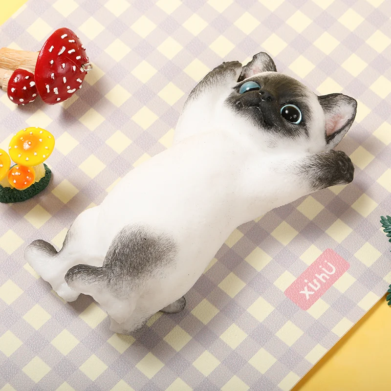 Maine Cheer Kitty Taba Squishy - Image 4